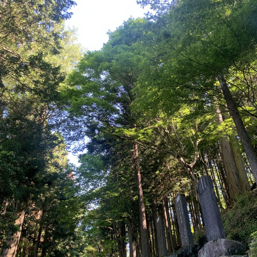 三峯神社の山道
